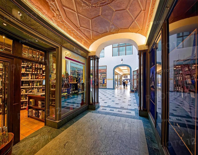Specks Hof shopping arcade, interior view, Leipzig, Saxony, Germany, Europe