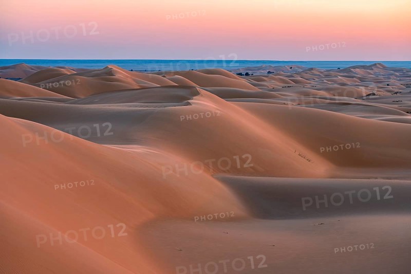 Sand dunes in the desert, near Duqm, Oman, Asia