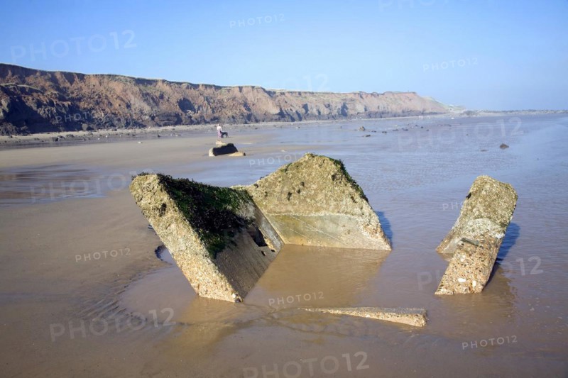 Rapidly eroding boulder clay cliffs on the Holderness coast, Mappleton, Yorkshire, England, United Kingdom, Europe