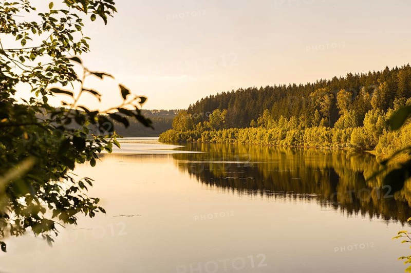The Lehnmühle dam is a dam in the Free State of Saxony. It is located in the Osterzgebirge in the district of Sächsische Schweiz-Osterzgebirge between the towns of Frauenstein and Dippoldiswalde. The dammed body of water is the Wilde Weißeritz, which rises on the ridge of the Erzgebirge, Lehnmühle Dam, Hartmannsdorf, Saxony, Germany, Europe