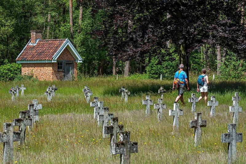 Cemetery with graves of vagabonds and homeless who lived and worked at the Colony of Wortel near Hoogstraten, province of Antwerp, Flanders, Belgium, AI generated, Europe