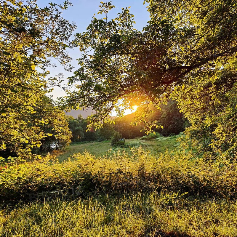 Atmospheric sunset in the Our valley, Gemünd an der Our, Ösling, Islek, Southern Eifel nature park Park, Rhineland-Palatinate, Germany, Europe