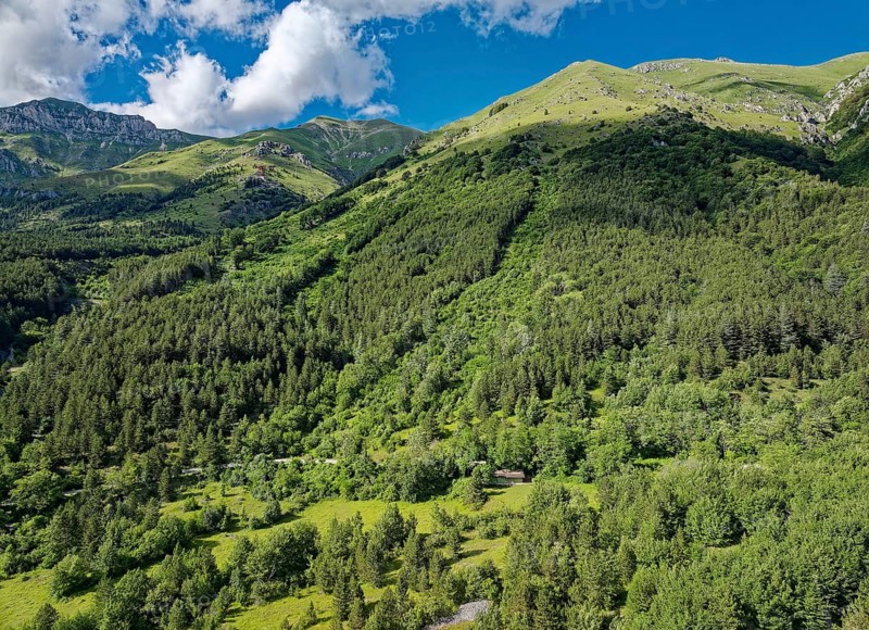 Wooded slope and above it the tree line in the mountain landscape in the Gran Sasso and Monti della Laga National Park in Abruzzo. Apennines, Italy, Southern Europe, Europe