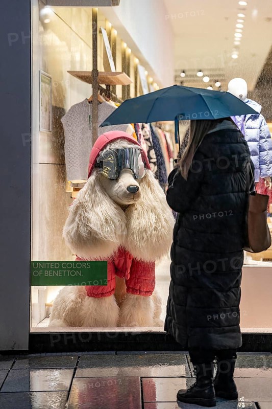 Sale, sale, rainy weather, freezing rain, pedestrian zone Zeil, shopping street, high-rise skyline in clouds, passers-by hurrying through the damp, icy weather, Frankfurt am Main, Hesse, Germany, Europe