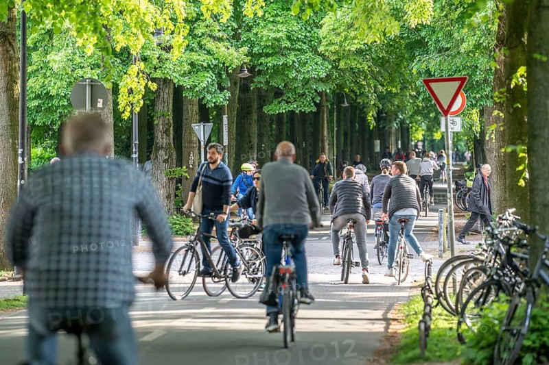 One of 4 road crossings of the Promenade cycle path, a tree-lined, car-free, approximately 4.5 km long ring road around the city centre of Münster, North Rhine-Westphalia, Germany, Europe