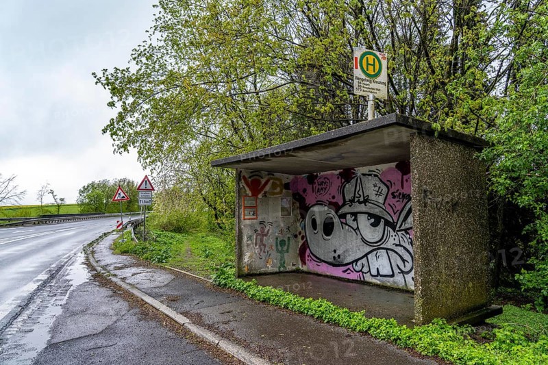 Bus stop shelter, local transport in the countryside, near Breckerfeld-Wengeberg, on Brantender Straße, L528, Ennepe-Ruhr-Kreis, North Rhine-Westphalia, Germany, Europe