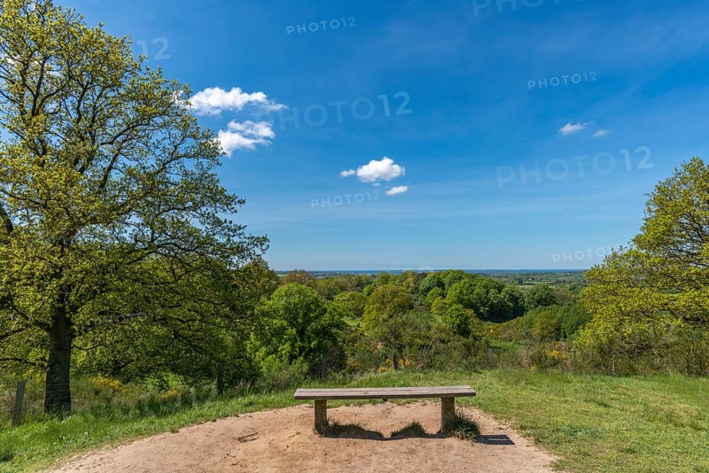 Svanninge Bakker, Faaborg, wooded heights in southern Funen, nature reserve, recreation, hiking, bench, viewpoint, South Funen, Denmark, Europe