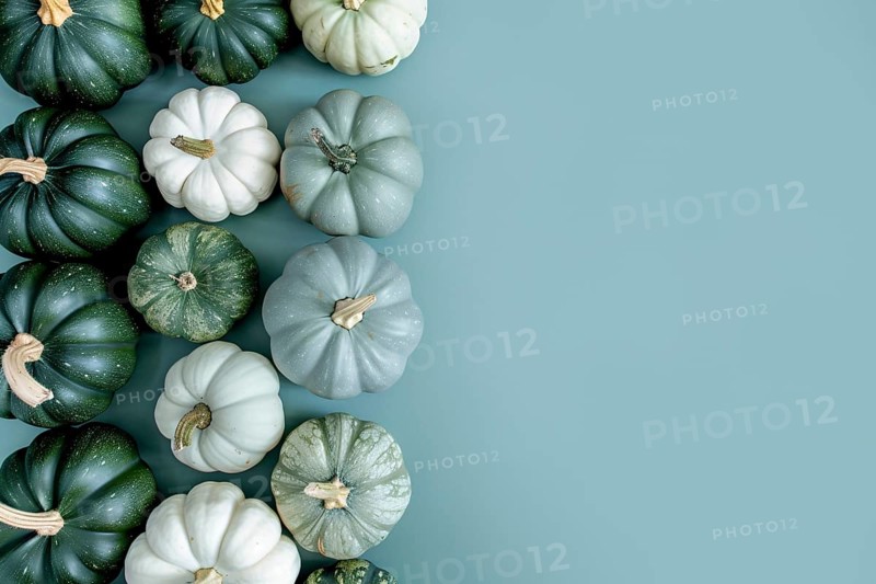 Top view of white and green pumpkins on light blue background with copy space. Generative Ai, AI generated