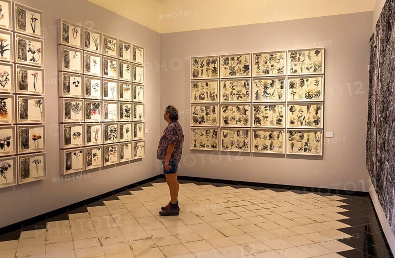 Art exhibition 'Atlas' by Jan Hendrix, Casa de Montejo, Merida, Yucatan State, Mexico, Central America