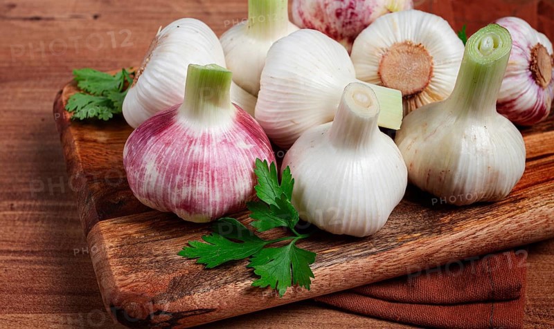 Fresh young garlic, white and purple color, on a wooden table, no people