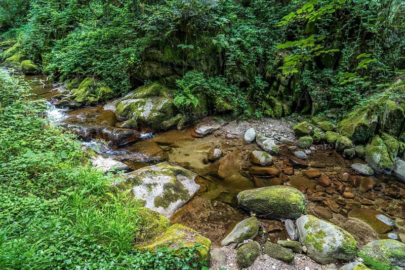 In the Grobbach stream valley on the Geroldsau Waterfall Circular Trail, Geroldsau, Baden-Baden, Baden-Württemberg, Germany, Europe