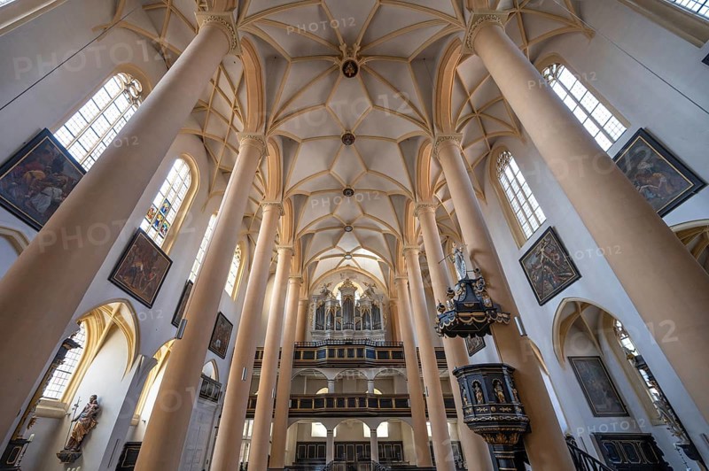 Interior with vaulted ceiling and organ loft, organ built in 1751 by the organ builder Johann Philipp Seuffert, St Vitus Church, 16th century, Iphofen, Lower Franconia, Bavaria, Germany, Europe