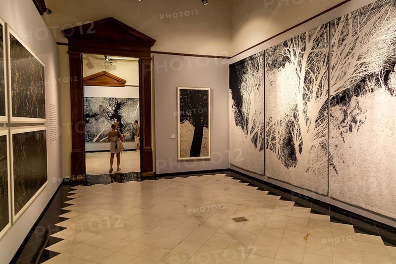 Art exhibition 'Atlas' by Jan Hendrix, Casa de Montejo, Merida, Yucatan State, Mexico, Central America