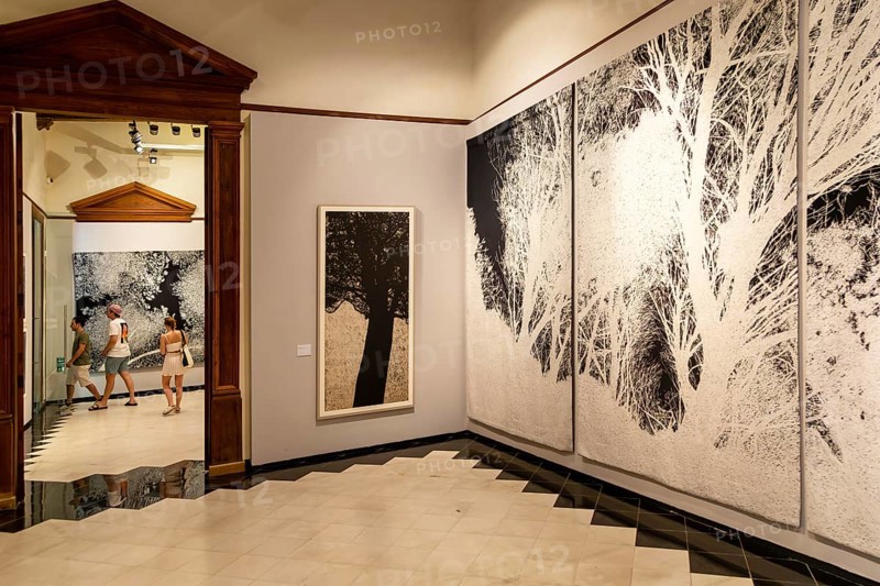 Art exhibition 'Atlas' by Jan Hendrix, Casa de Montejo, Merida, Yucatan State, Mexico, Central America
