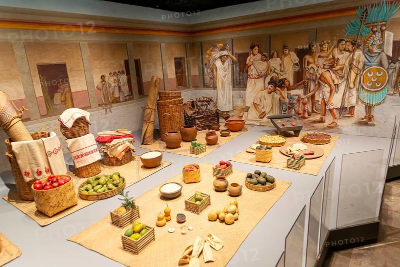 Display of Aztec foods and market, archaeological site and museum of Templo Mayor, Mexico City, Mexico, Central America