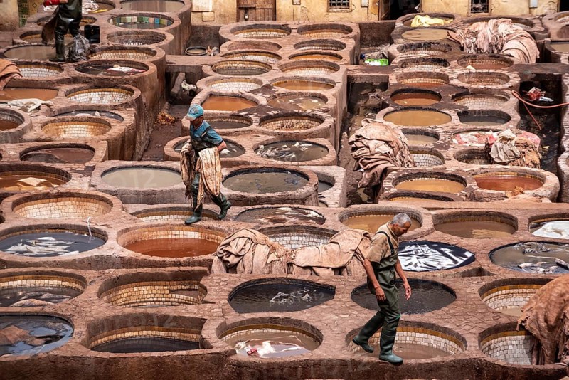 Famous tannery in the medina of Fes, where leather is being processed for generations, Morocco, Africa