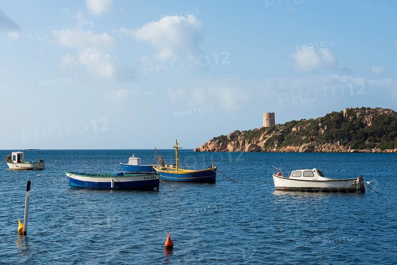 Fishing boats and Genoese tower, Porto di Teulada, south coast, Sardinia, Italy, Europe