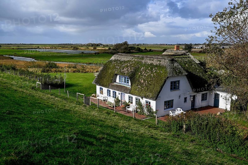 Thatched-roof house on Kaydeich, Pellworm Island, Schleswig-Holstein Wadden Sea National Park, North Frisia, Germany, Europe