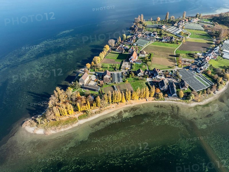 Aerial view of the north-western tip of the island of Reichenau with the district of Niederzell and the columned basilica of St. Peter and Paul, Windegg Castle on the shore with autumnal vegetation, Lake Constance, Constance district, Baden-Württemberg, Germany, Europe