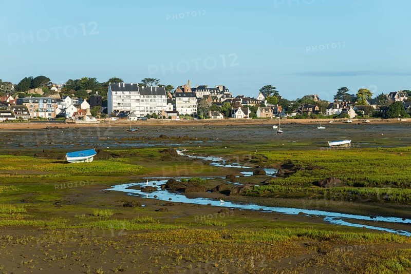 A town by the sea at low tide, with boats and green areas in the foreground, Trégastel, Tregastel, Perros-Guirec, Côte d'Armor, Brittany, France, Europe