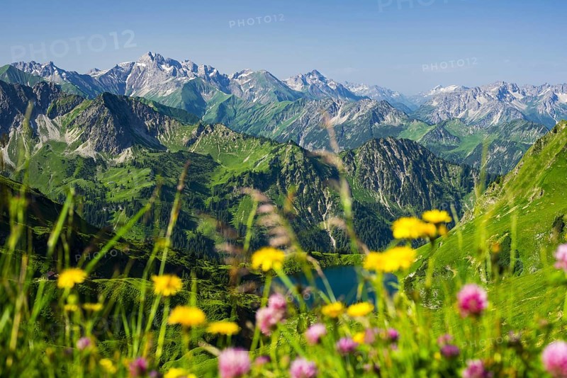 Panorama from Zeigersattel to Seealpsee, Allgaeu Alps, Allgaeu, Bavaria, Germany, Europe