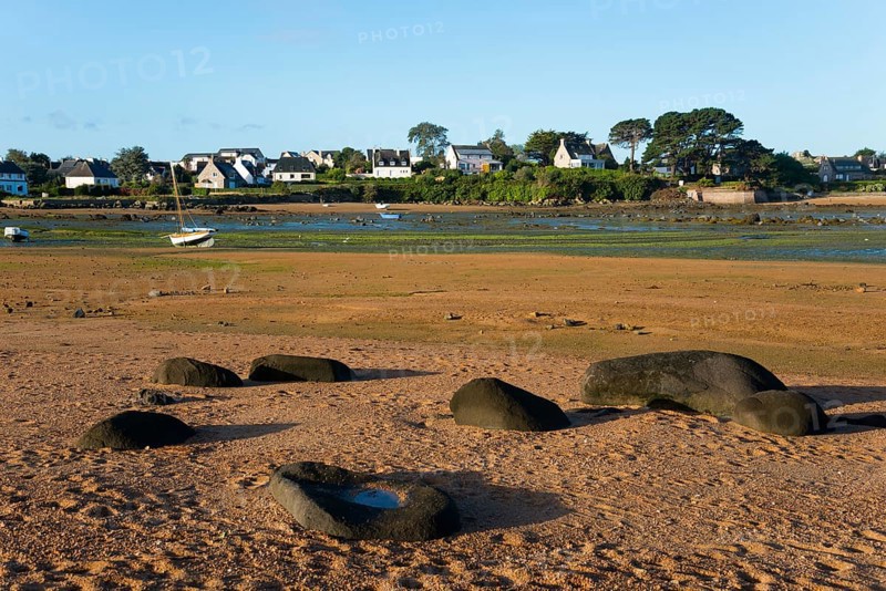 Sandy coastal scene with visible stones and houses in the background, Trégastel, Tregastel, Perros-Guirec, Côte d'Armor, Brittany, France, Europe