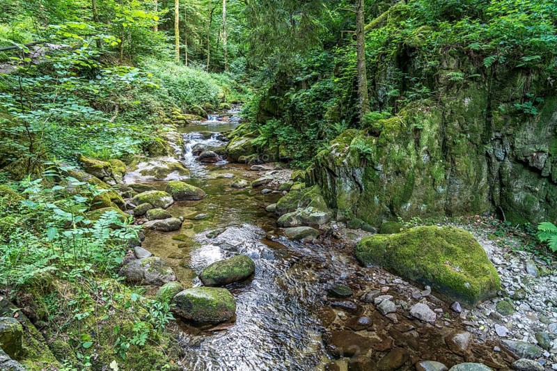 In the Grobbach stream valley on the Geroldsau Waterfall Circular Trail, Geroldsau, Baden-Baden, Baden-Württemberg, Germany, Europe