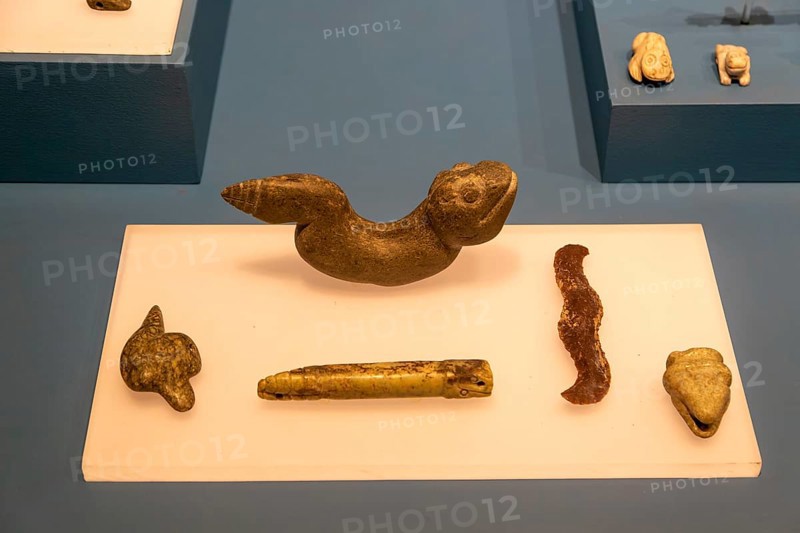 Offerings to Tlaloc, god of rain, archaeological site and museum of Templo Mayor, Mexico City, Mexico, Central America