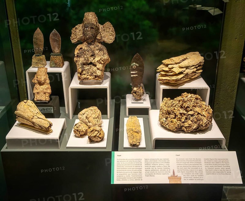 Display of Aztec artefacts made from copal resin, archaeological site and museum of Templo Mayor, Mexico City, Mexico, Central America