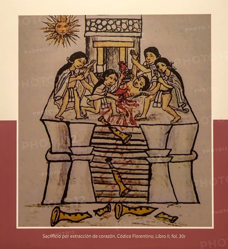 Picture showing Aztec human sacrifice, archaeological site and museum of Templo Mayor, Mexico City, Mexico, Central America