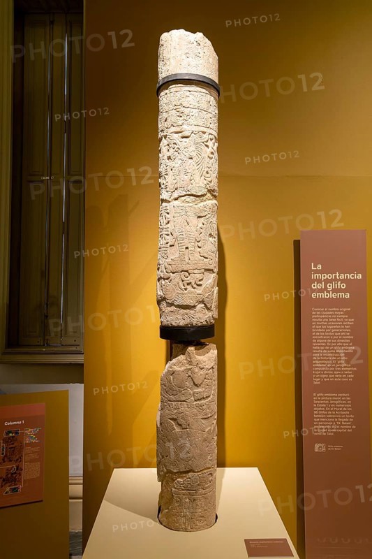 'Glifo Emblema' carved pillar Archaeology exhibition, Palacio Canton palace anthropology museum, Merida, Yucatan State, Mexico, Central America