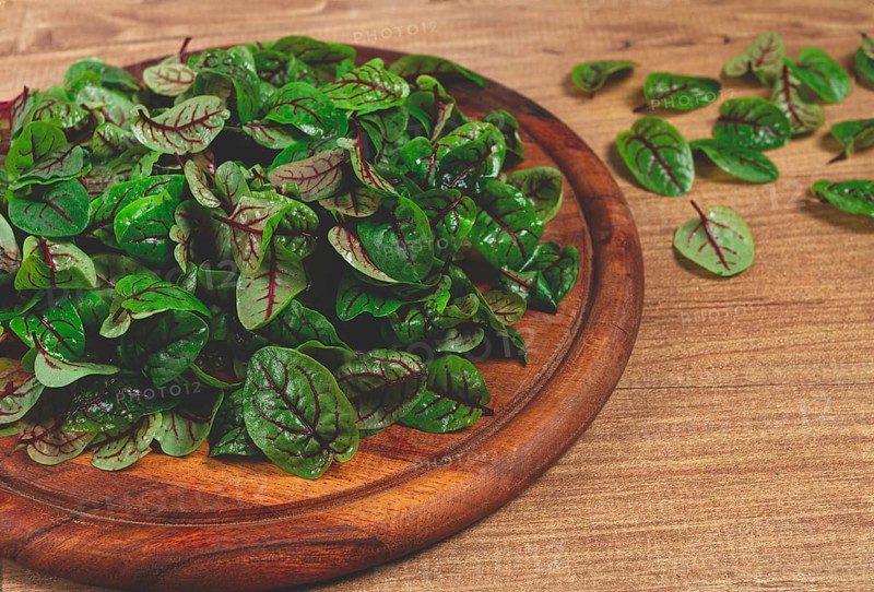 Sorrel bloody Mary, fresh baby sorrel leaves, with red veins, micro-greens, on a plate
