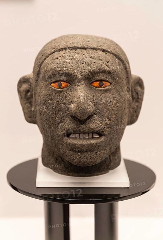 Carved stone head, archaeological site and museum of Templo Mayor, Mexico City, Mexico, Central America