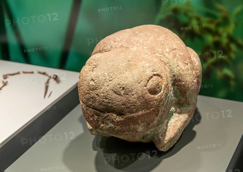 Carved stone frog or toad, archaeological site and museum of Templo Mayor, Mexico City, Mexico, Central America