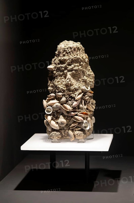 Copal figure with shells, archaeological site and museum of Templo Mayor, Mexico City, Mexico, Central America