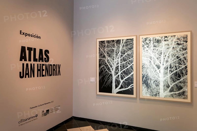 Art exhibition 'Atlas' by Jan Hendrix, Casa de Montejo, Merida, Yucatan State, Mexico, Central America