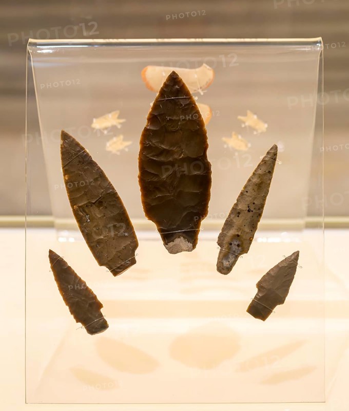 Flint spear tips, archaeology exhibition inside Palacio Canton palace anthropology museum, Merida, Yucatan State, Mexico, Central America