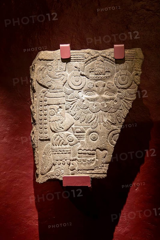 Bas relief carved stone representing Tlaltecuhtli female god of Earth, archaeological site and museum of Templo Mayor, Mexico City, Mexico, Central America