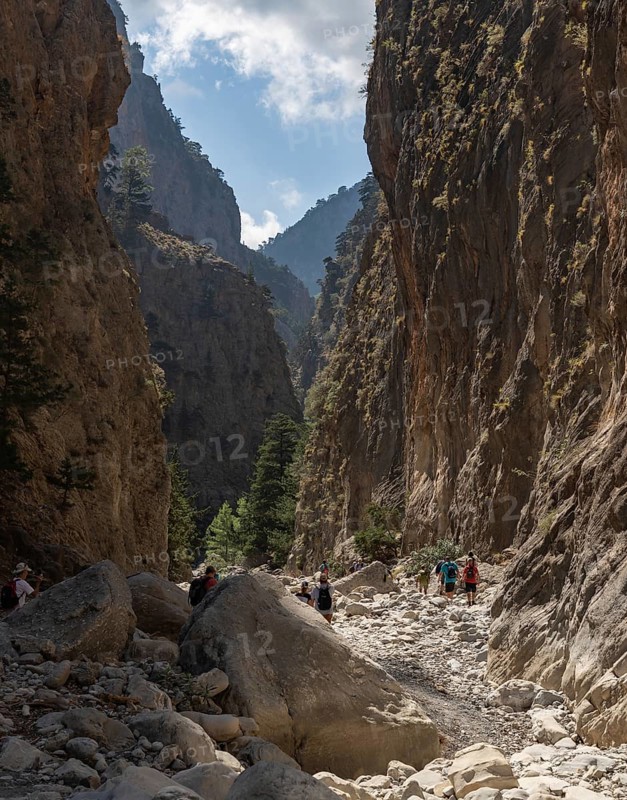 A picture of the classic Samaria Gorge landscape, with rocks on the ground and surrounding trees and mountains