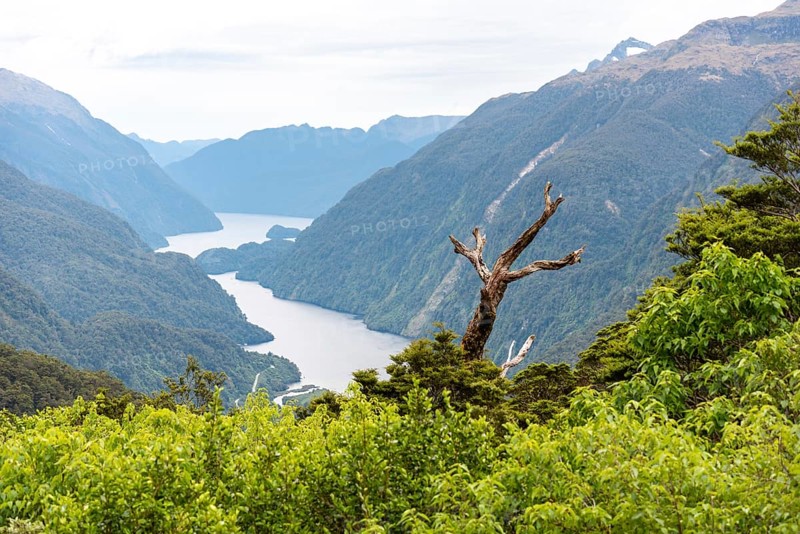 View to magnificent Doubtful Sound from a lookout, South Island of New Zealand