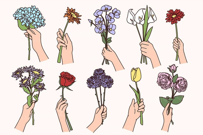 Set of people hands holding various flowers. Collection of persons with floral bouquet or compositions greet congratulate with special occasion. Botany, florist occupation. illustration