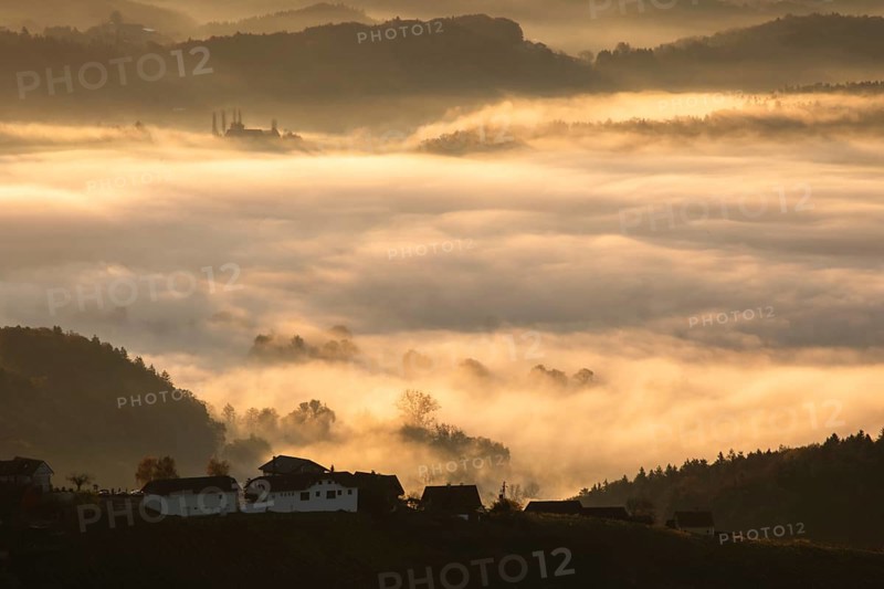 Autumn atmosphere in the golden morning light, fog drifts over forest with foliage colouring, hilly landscape and farmstead, view from the Demmerkogel lookout point, St. Andrä-Höch, Sausal wine country, Styria, Austria, Europe