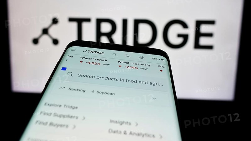 Stuttgart, Germany, 07-11-2024: Mobile phone with website of South Korean agriculture platform company Tridge Co. Ltd. in front of logo. Focus on top-left of phone display, Europe