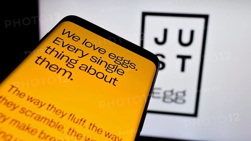 Stuttgart, Germany, 07-11-2024: Smartphone with website of US food technology company Eat Just Inc. (Just Egg) in front of business logo. Focus on top-left of phone display, Europe