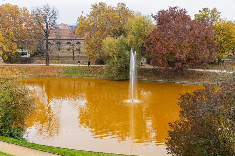 Dresden Zwingerteich, a type of algae discoloured the water brown in autumn. Dresden, Saxony, Germany, Europe