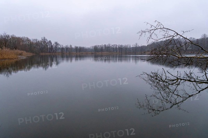 Winter impressions from the UNESCO biosphere reserve Upper Lusatian Heath Pond Landscape - Milkel