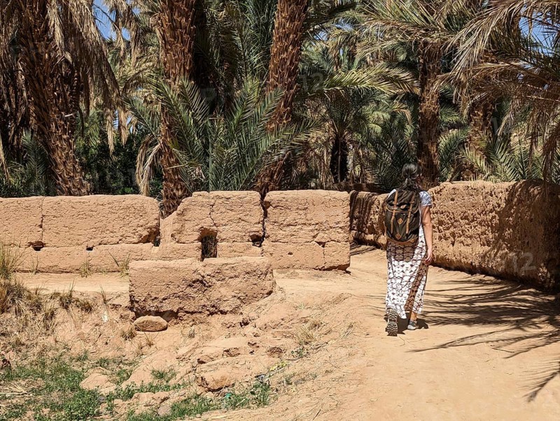 A hiker in a scenic agriculture landscape in the beautiful Draa valley, palm groves surrounding the hiking path, Morocco, Africa