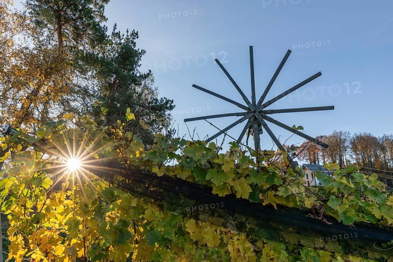 Autumn atmosphere, sunlight breaking through the vineyard, largest klapotetz in the world, Demmerkogel, municipality of St. Andrä-Höch, Styria, Austria, Europe