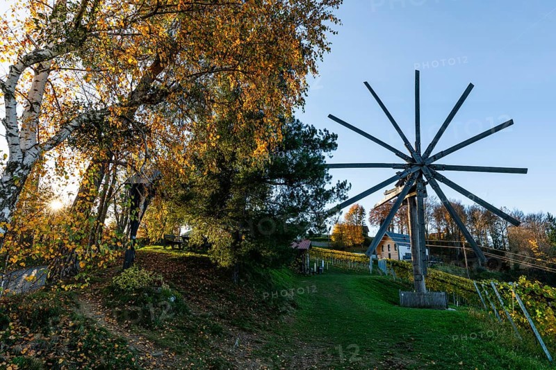 Autumn atmosphere, sunlight breaking through the vineyard, largest klapotetz in the world, Demmerkogel, municipality of St. Andrä-Höch, Styria, Austria, Europe