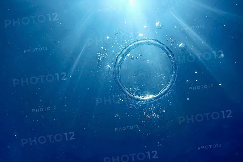 Underwater Bubble Ring Ascends towards the Sun